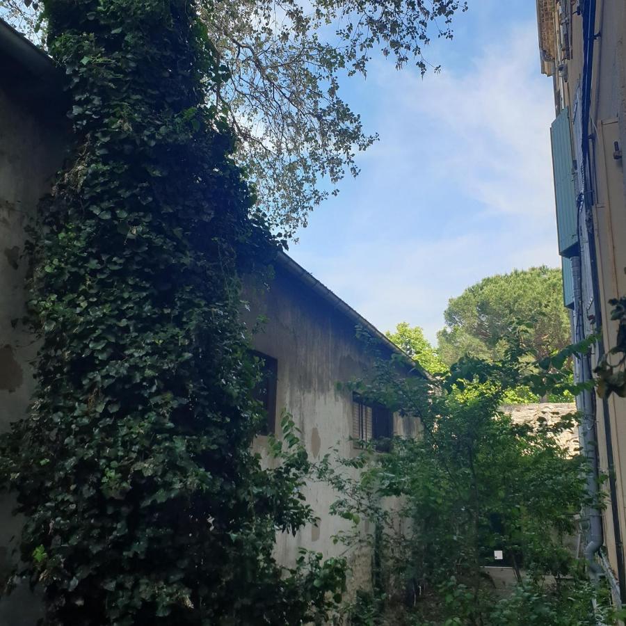 Appartement Intra Muros 8 Personnes Climatise Wifi Stationnement Facile อาวีญง ภายนอก รูปภาพ